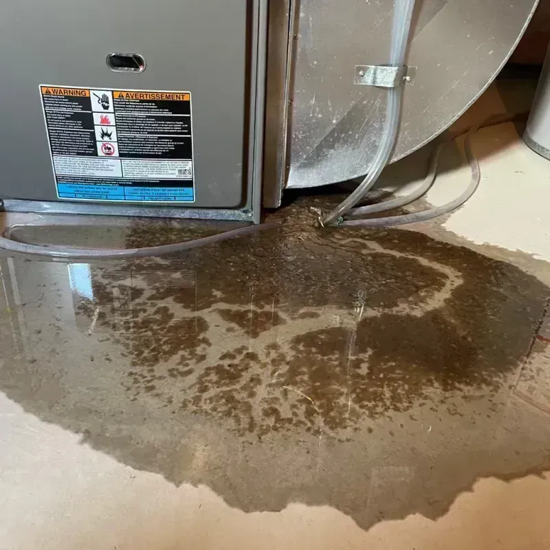 Appliance Leak Cleanup in Louisville, IL